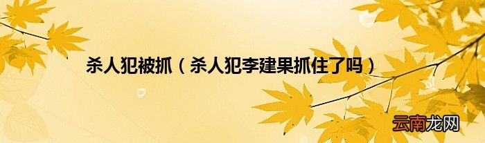 杀人犯李建果抓住了吗 杀人犯被抓