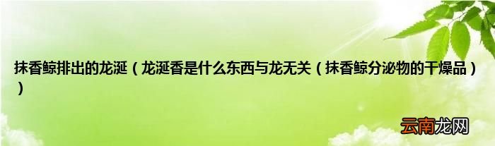 龙涎香是什么东西与龙无关（抹香鲸分泌物的干燥品 抹香鲸排出的龙涎）