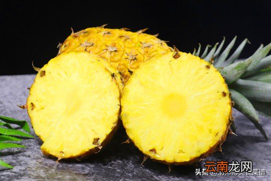 凤梨是啥和菠萝有区别吗 凤梨和菠萝的区别
