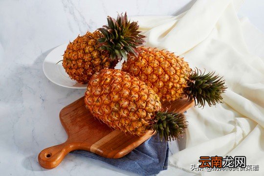 凤梨是啥和菠萝有区别吗 凤梨和菠萝的区别