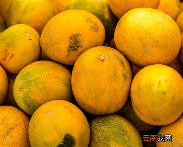 哪些人不能食用哈密瓜 哈密瓜是热性还是凉性
