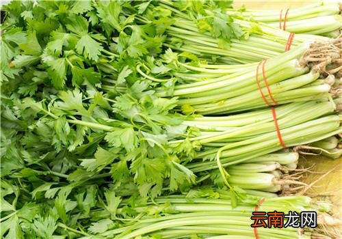 吃什么对牙好 4种食物保护牙齿