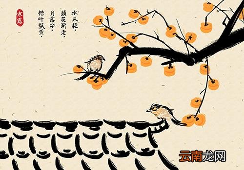 寒露的由来,寒露的意思是什么