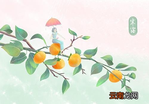 寒露的由来,寒露的意思是什么