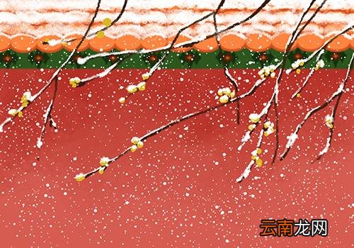 小雪是哪天,小雪都是11月22日吗