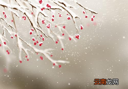 小雪是哪天,小雪都是11月22日吗