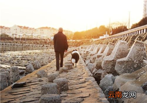老人没有食欲怎么办,吃什么可以提高食欲