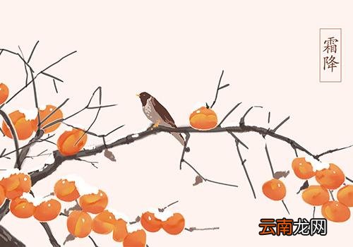 霜降的意思是什么,2018年霜降是几月几号几点