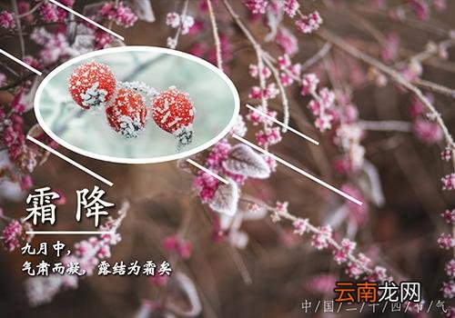 霜降的意思是什么,2018年霜降是几月几号几点