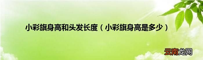 小彩旗身高是多少 小彩旗身高和头发长度