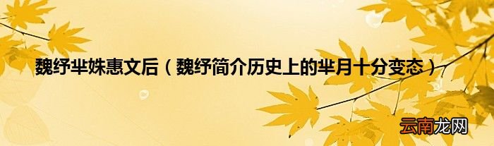 魏纾简介历史上的芈月十分变态 魏纾芈姝惠文后