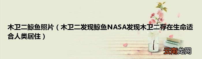 木卫二发现鲸鱼NASA发现木卫二存在生命适合人类居住 木卫二鲸鱼照片