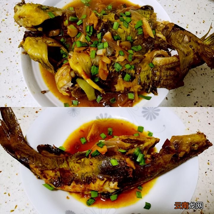 红烧黄骨鱼和豆腐黄骨鱼的做法 红烧黄骨鱼的家常做法