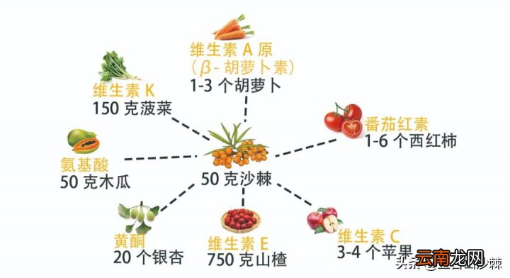 在家也可以自制沙棘汁 买的沙棘怎么做呢