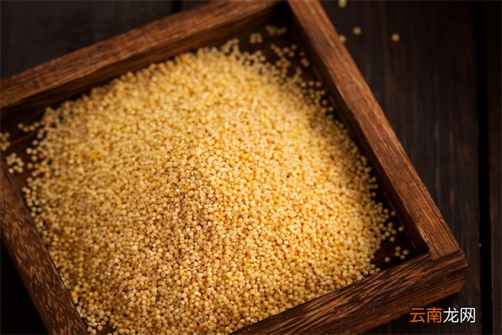 5种补脾益胃的食疗方法 补脾吃什么食物最好