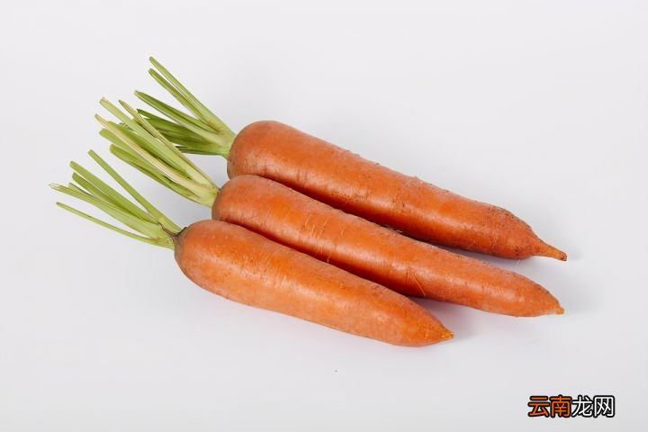 5种补脾益胃的食疗方法 补脾吃什么食物最好