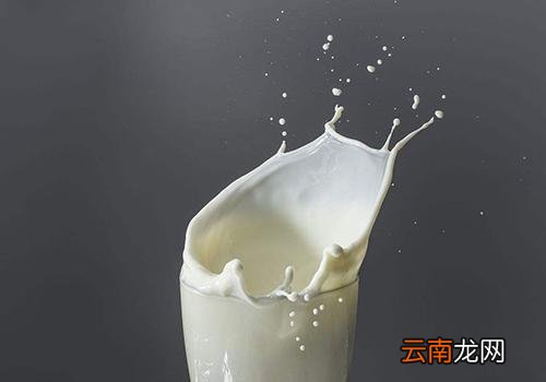 酒后能喝牛奶吗,酒后喝牛奶好还是酸奶