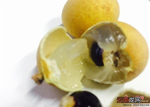 桂圆的功效和食用方法 桂圆的功效与作用