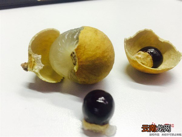桂圆的功效和食用方法 桂圆的功效与作用