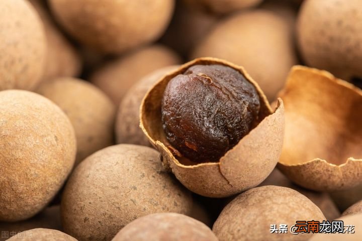 龙眼和桂圆有什么区别 龙眼和桂圆是同一种东西吗