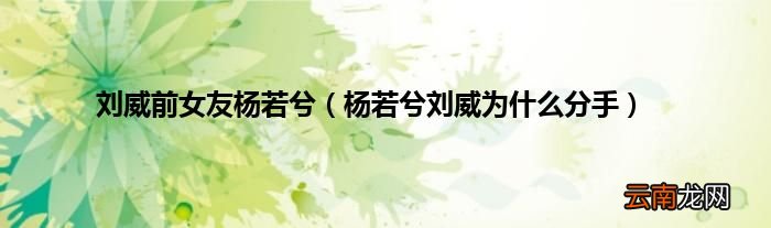 杨若兮刘威为什么分手 刘威前女友杨若兮