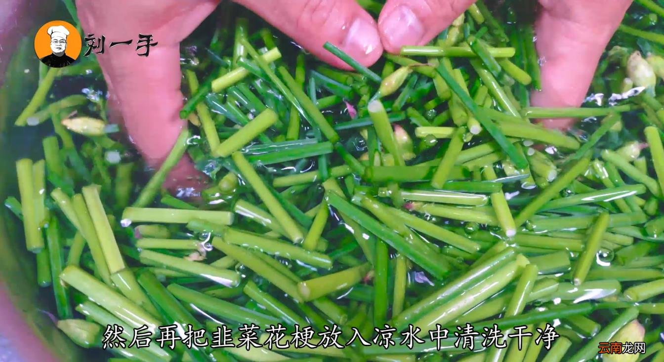 韭菜花酱腌制方法内蒙这样做又简单又好吃