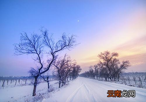 立冬养生,立冬补冬的习俗