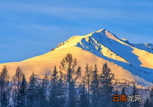 三九天是什么意思,三九天怎么养生