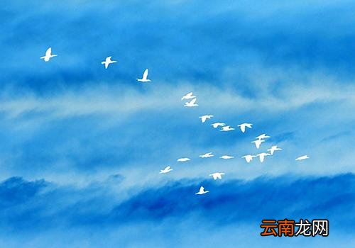 寒露过后还热吗,寒露前后的天气情况