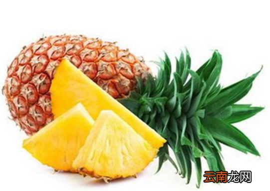一文了解菠萝的功效和禁忌 菠萝的功效与作用禁忌