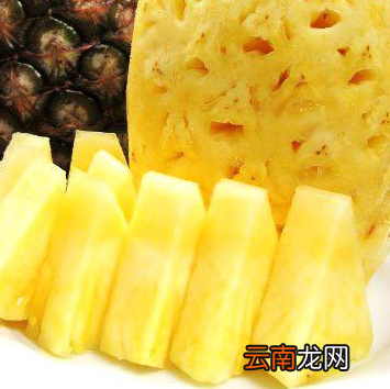 一文了解菠萝的功效和禁忌 菠萝的功效与作用禁忌