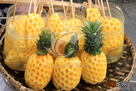 一文了解菠萝的功效和禁忌 菠萝的功效与作用禁忌