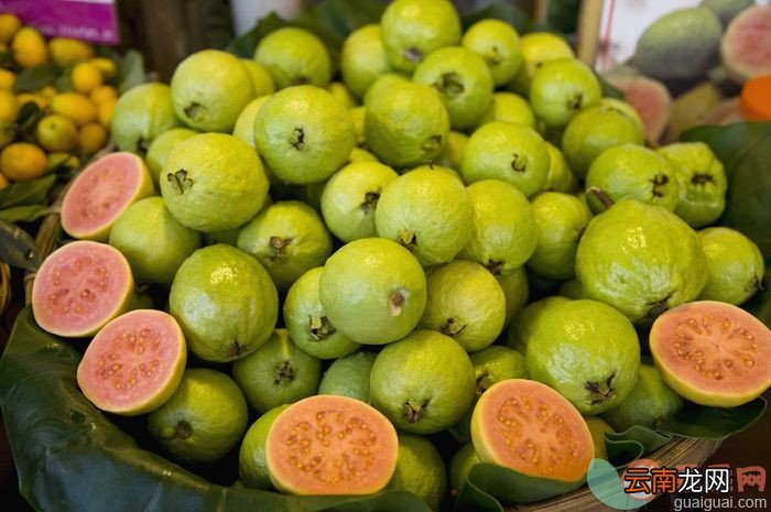 番石榴适不适合孕妇吃 孕妇可以吃番石榴吗