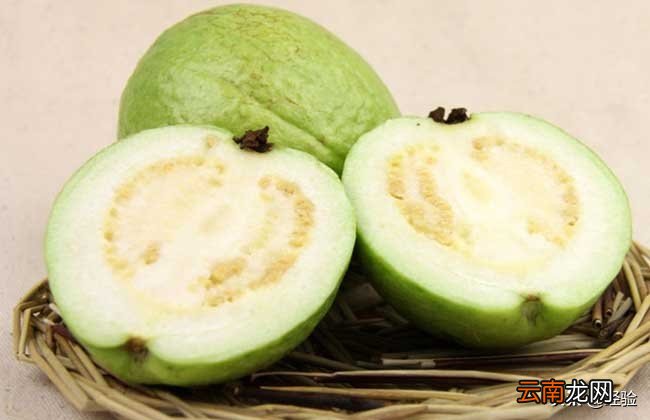 番石榴怎么吃才好 番石榴的吃法