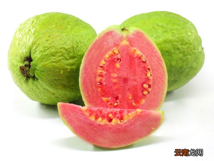 番石榴营养价值竟然这么厉害 番石榴的营养价值