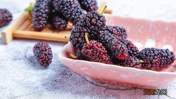 桑葚有哪些作用了解一下 桑葚的功效与作用