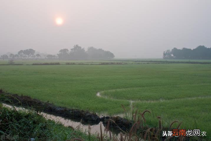 农谚的意思是什么农谚的意思