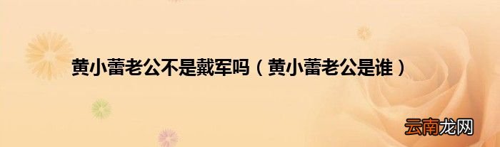 黄小蕾老公是谁 黄小蕾老公不是戴军吗