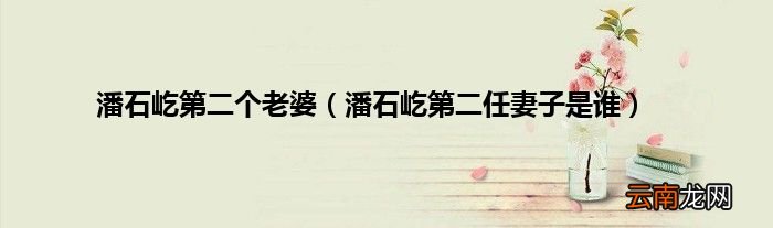 潘石屹第二任妻子是谁 潘石屹第二个老婆