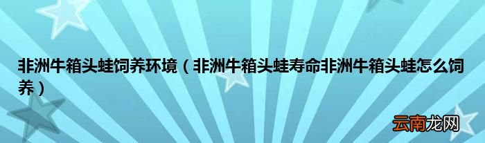 非洲牛箱头蛙寿命非洲牛箱头蛙怎么饲养 非洲牛箱头蛙饲养环境