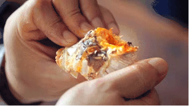 手把手教你清蒸大闸蟹最美味的做法 清蒸螃蟹的家常做法