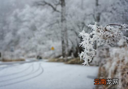 数九从什么时候开始,数九几天一个九