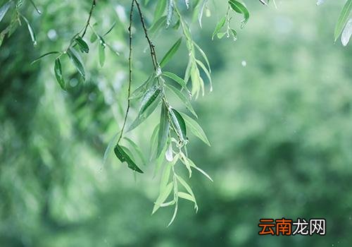 立春后天气还会冷吗,大雪冷还是立春冷