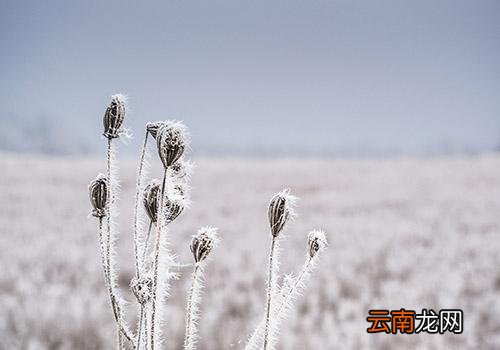 立冬就是冬至吗,冬至和立冬的区别