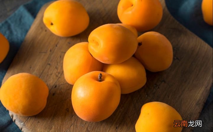你知不知道杏子的禁忌有哪些 杏子的功效与作用禁忌