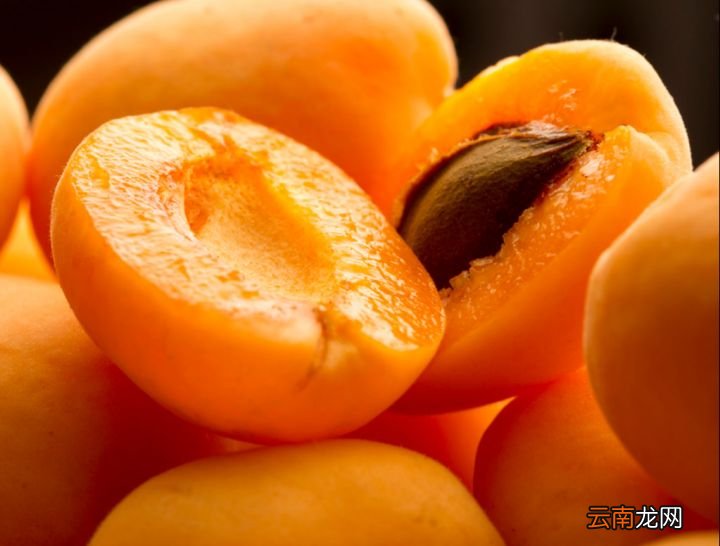 你知不知道杏子的禁忌有哪些 杏子的功效与作用禁忌