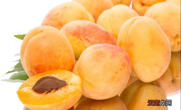 你知不知道杏子的禁忌有哪些 杏子的功效与作用禁忌