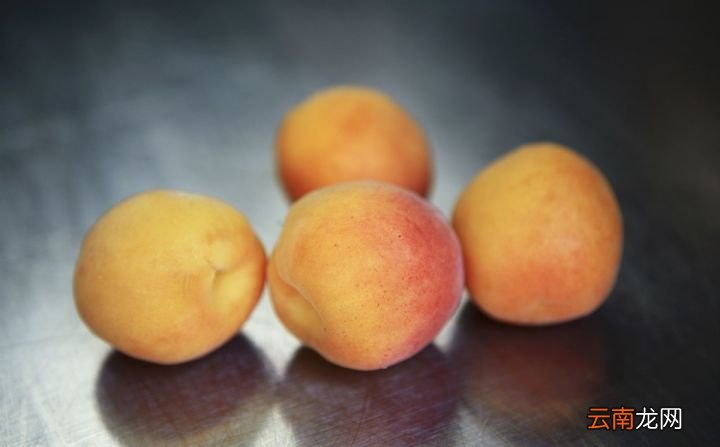 你知不知道杏子的禁忌有哪些 杏子的功效与作用禁忌
