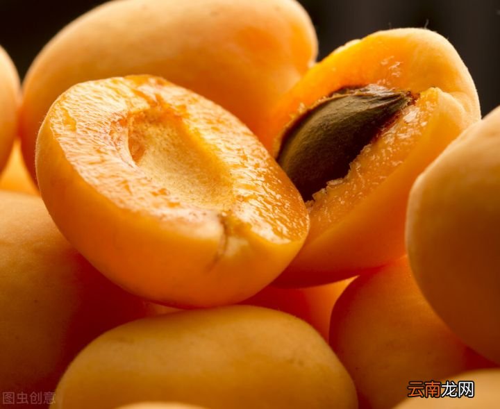 杏子几月份成熟 杏子什么时候成熟