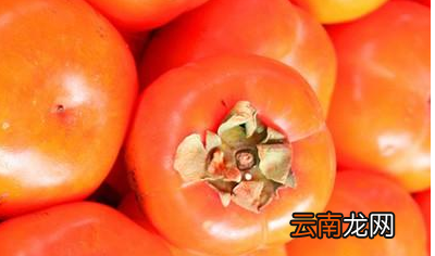 柿子竟有这么多食用禁忌 柿子的功效与作用禁忌